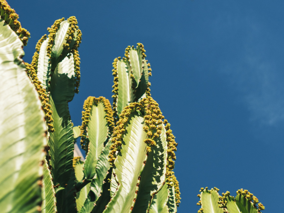 Solar Madariaga Hotel主图