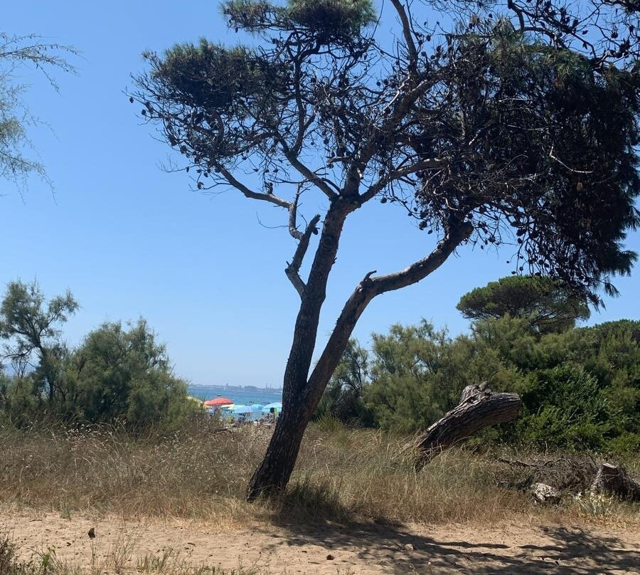 Parco Costiero della Sterpaia景点图片
