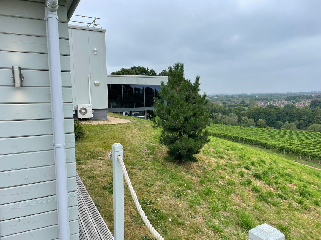 Hencote Wine Tours景点图片