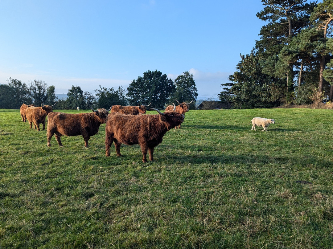 Yew Tree Farm主图
