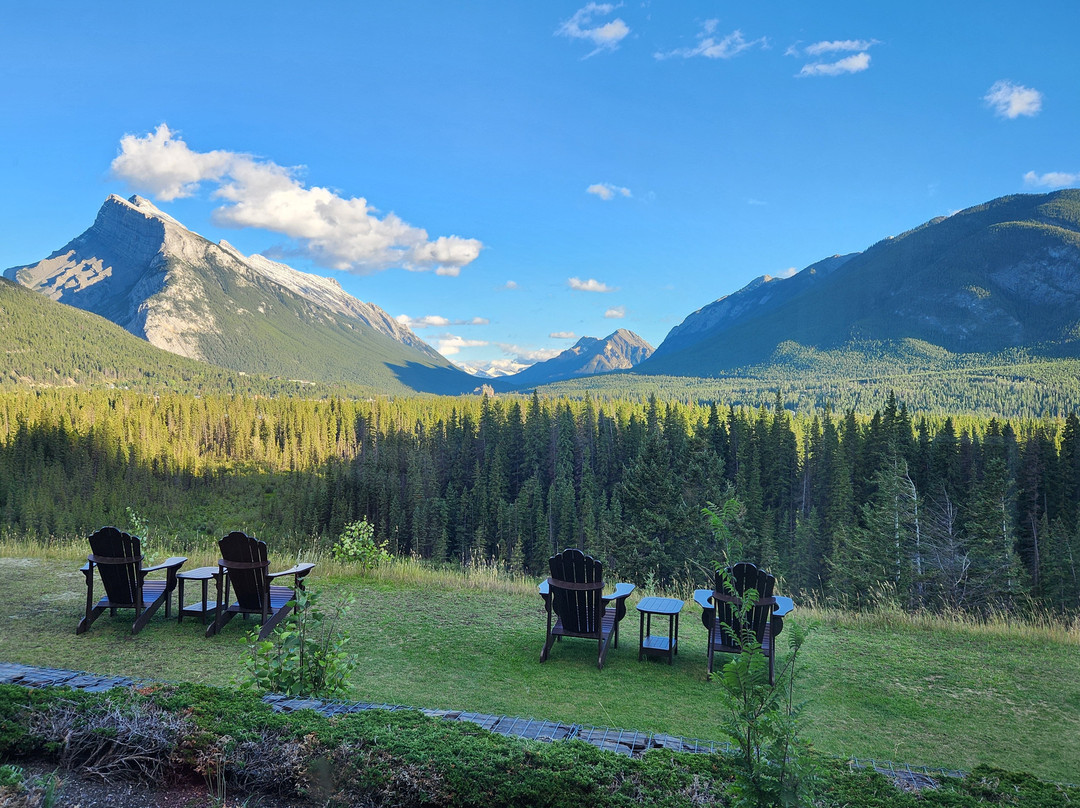 杜松子酒店主图