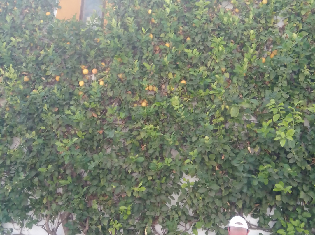 Go Beyond 4x4-Alhaurin el Grande必去景点