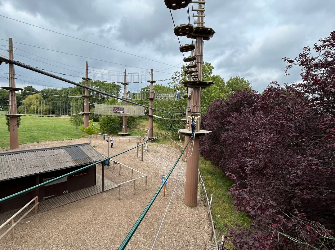 Go Ape Alexandra Palace-伦敦必去景点