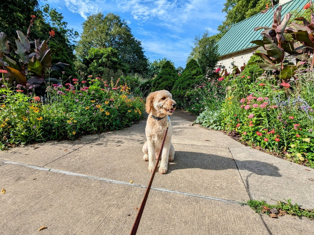 Meadowbrook Park-厄巴纳必去景点