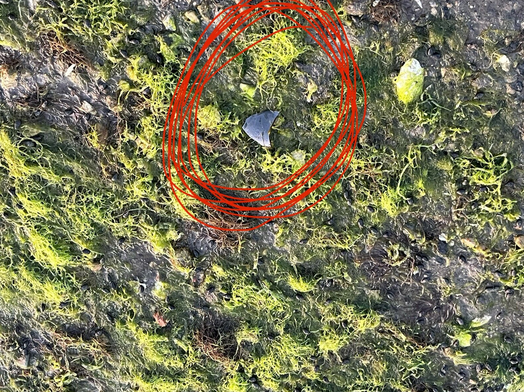 Oakland Beach-沃威克必去景点