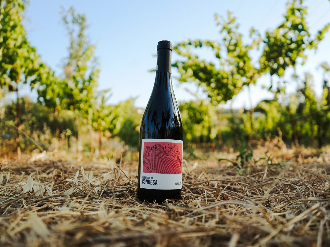 Bodega Huerto De La Condesa-隆达必去景点