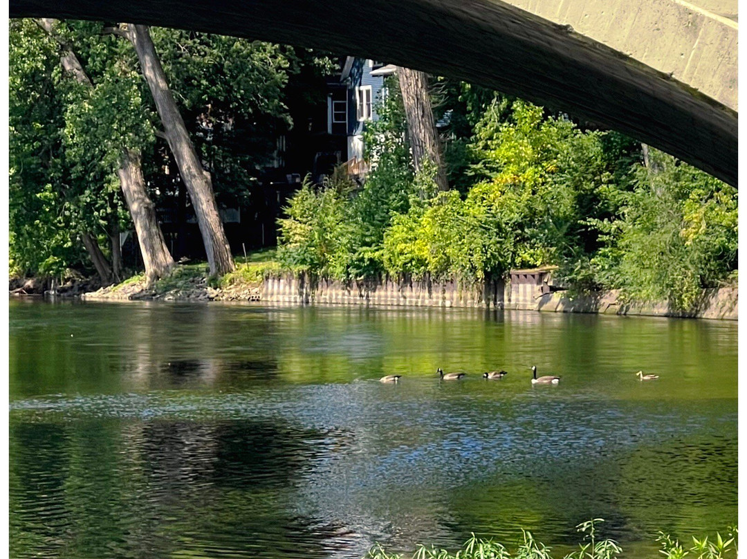 Beardsley Park | Canoe Launch