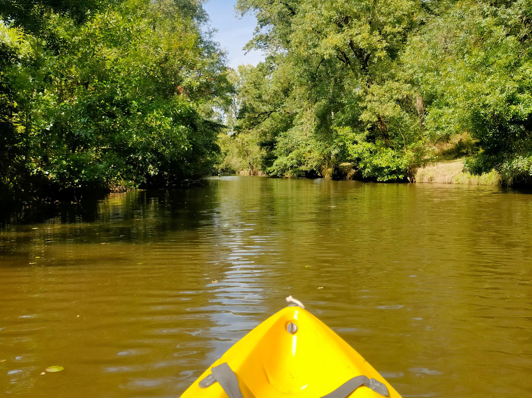 Canoë Kayak de la Boulogne景点图片