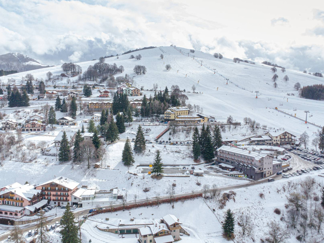 Family Hotel Polsa主图