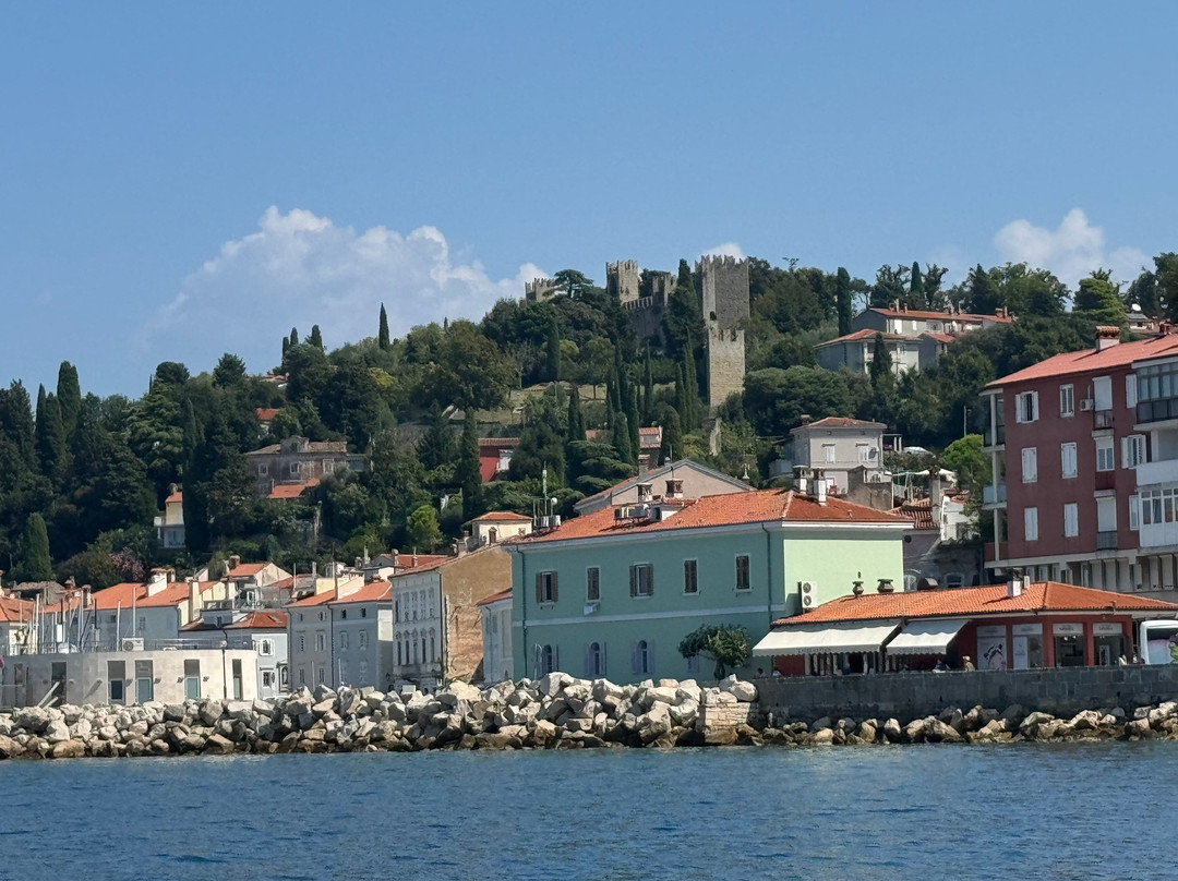 Rent a Boat Portoroz-波多若斯必去景点