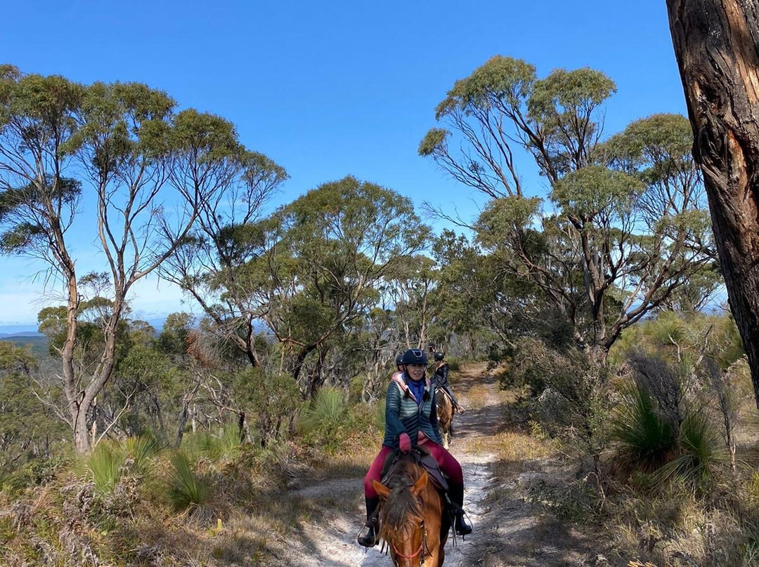 Cradle Country Adventures-摇篮山圣克莱尔湖国家公园必去景点