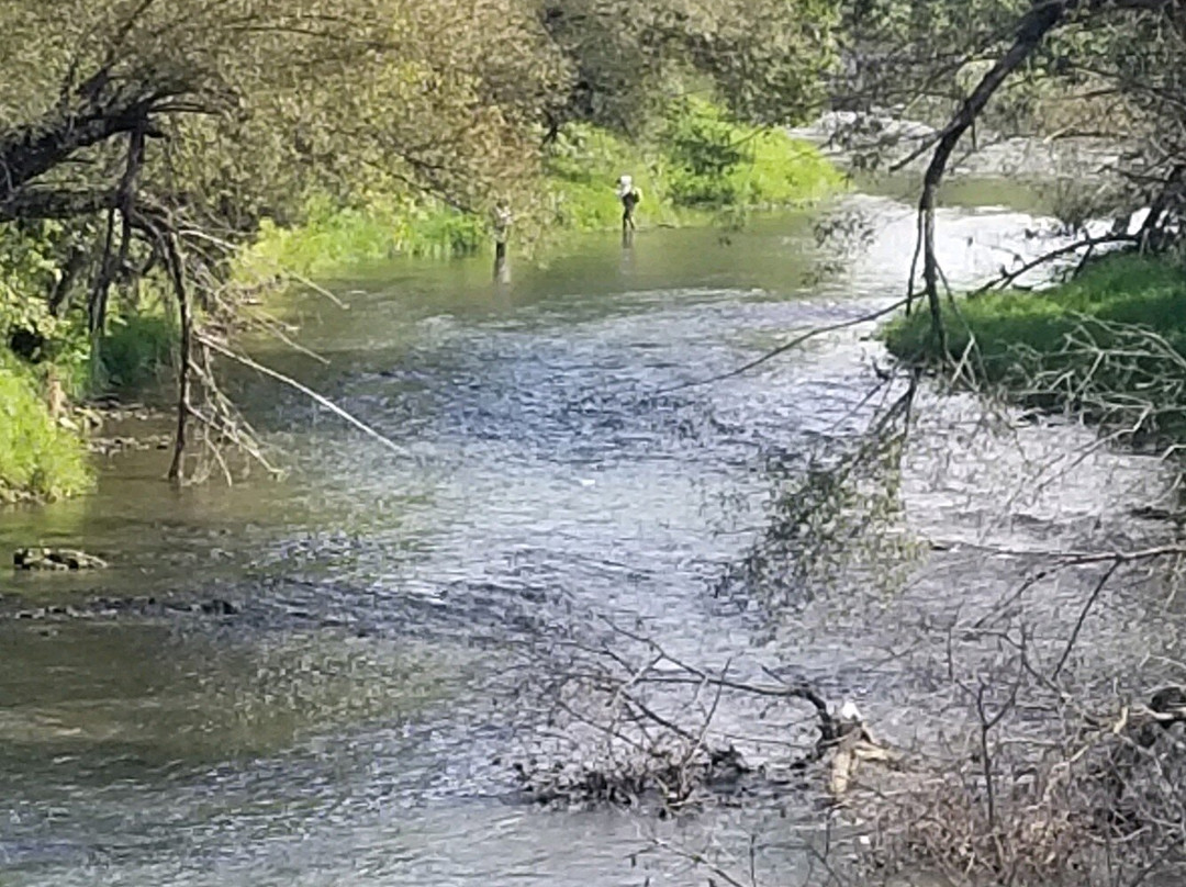 Root River Inn & Suites主图