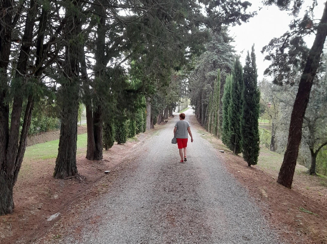 Tenuta delle Rose主图