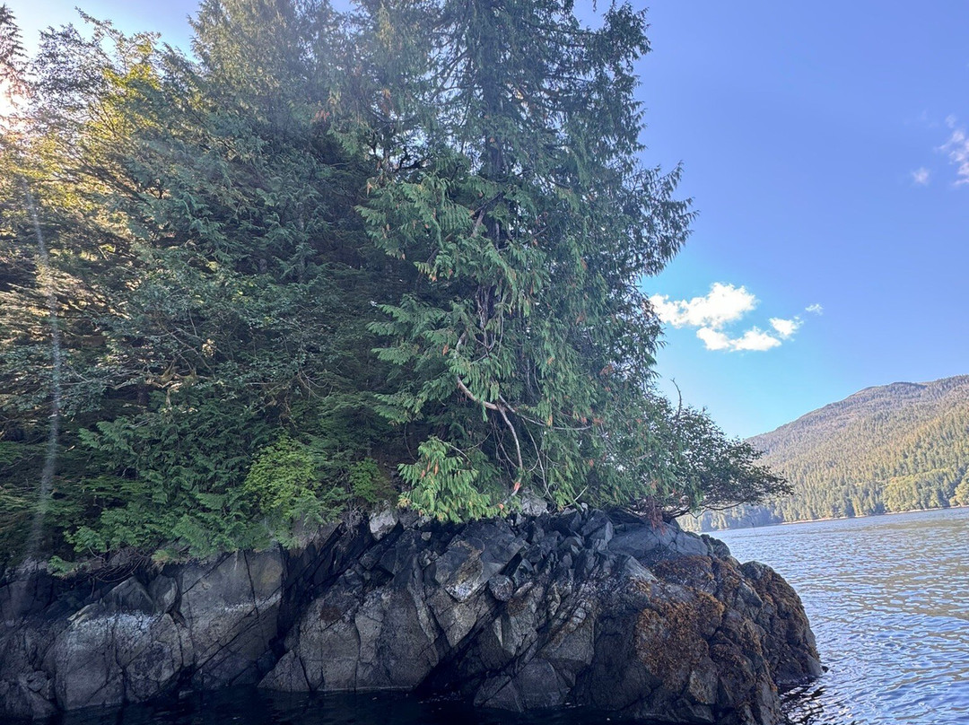 Cape Fox Tours-凯奇坎必去景点