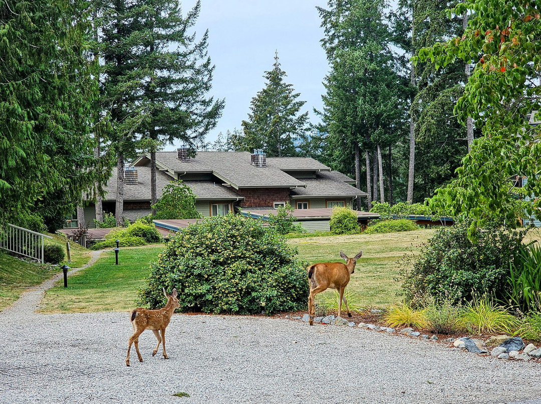 Painted Boat Resort Spa & Marina主图