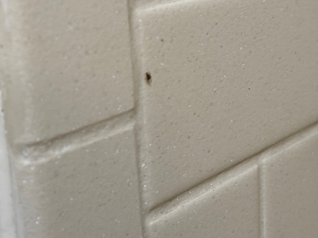 Candlewood Suites Washington-Fairfax by IHG主图