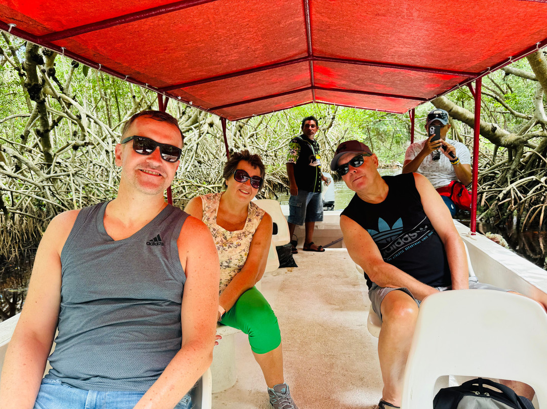 Sheartail Expeditions-塞莱斯顿必去景点