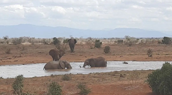 My Price Africa Adventure-蒙巴萨必去景点