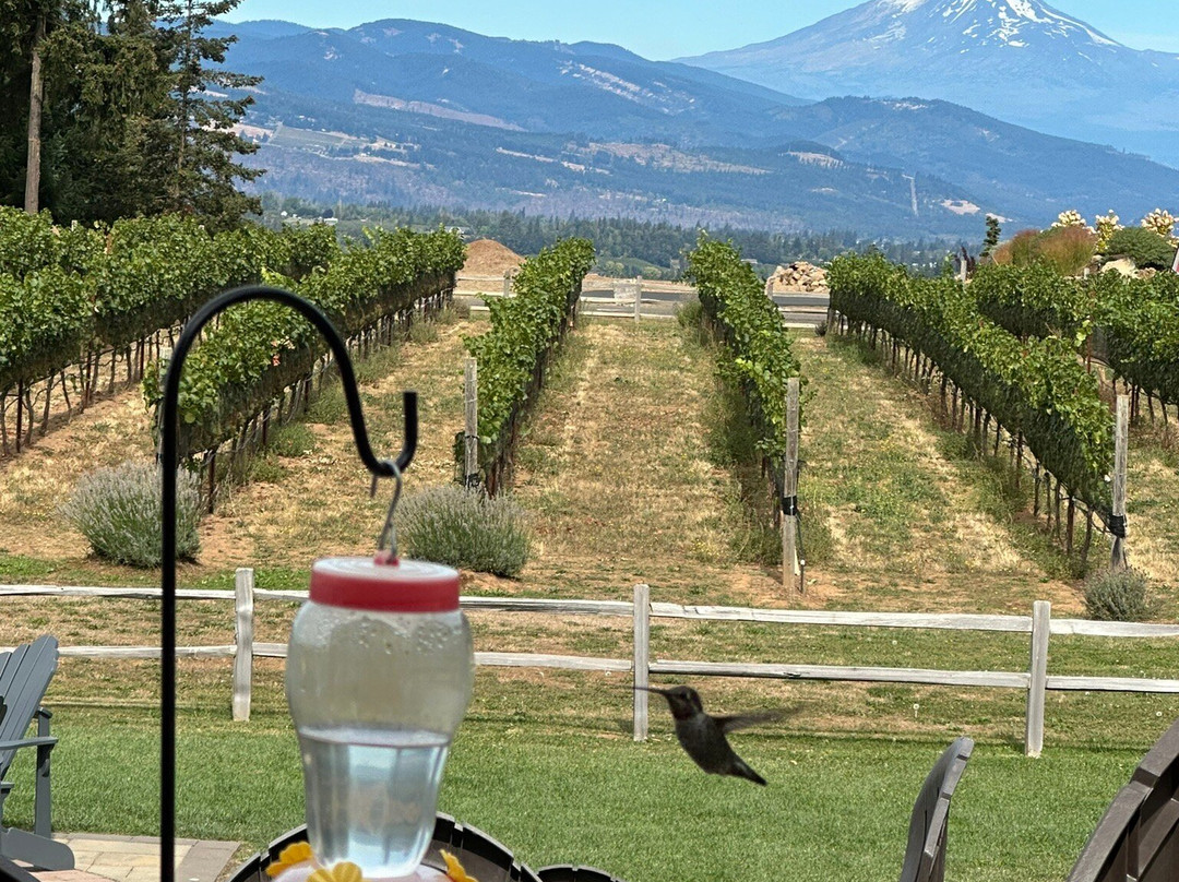 Sol Rides-胡德里弗必去景点