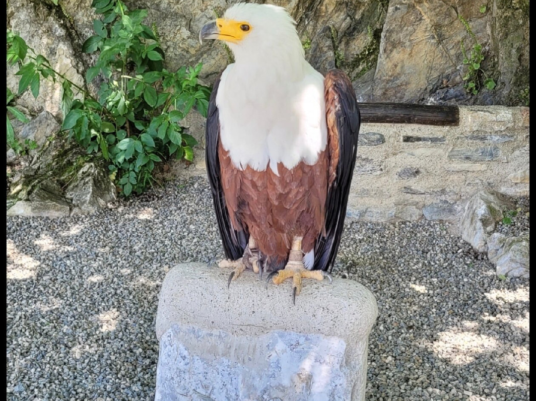 Dungeon of Eagles景点图片