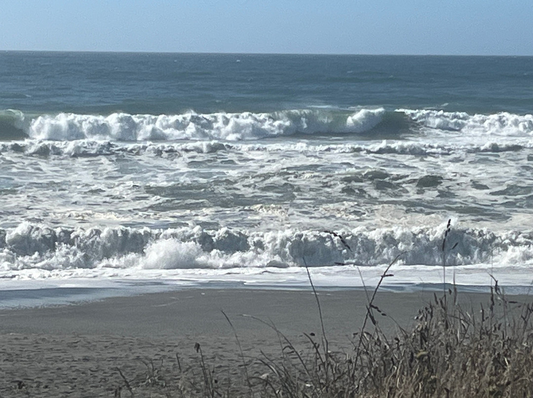 Little River Inn主图