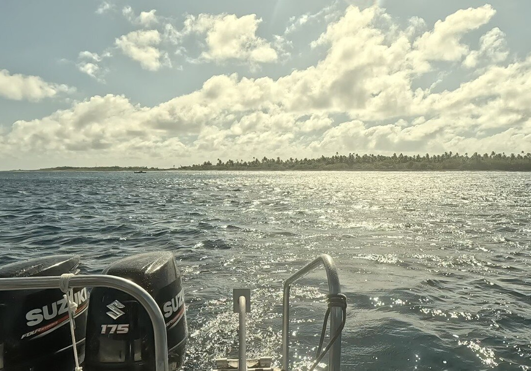 Tikehau Diving-提克豪环礁必去景点