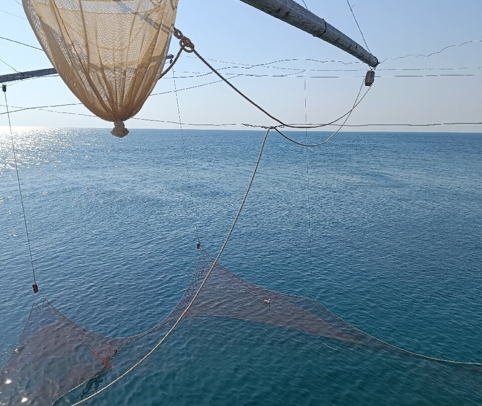 Trabucco Punta S. Croce-维耶斯泰必去景点