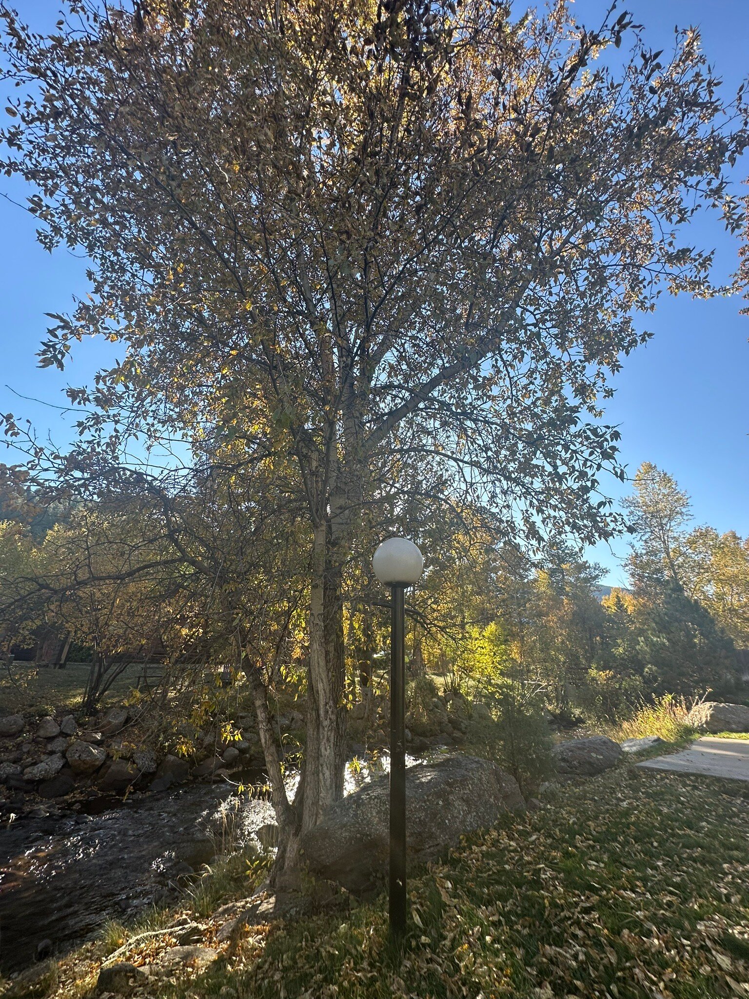 Deer Crest Resort-官方