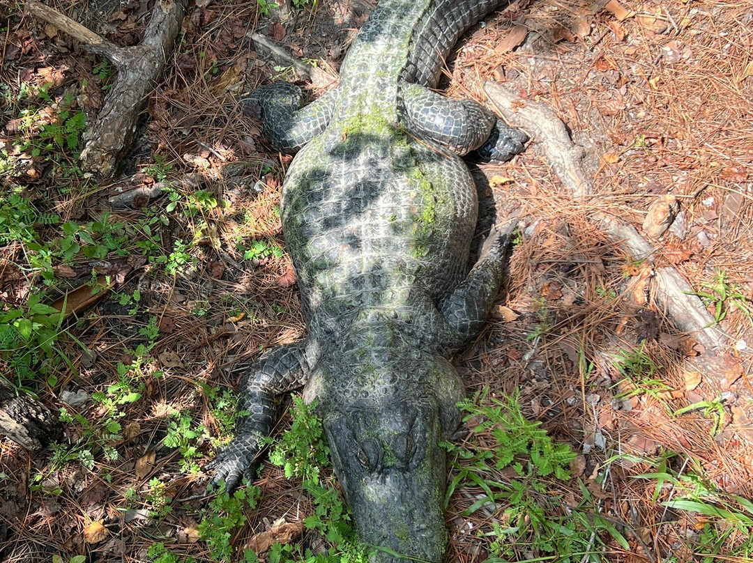 Chehaw Park & Zoo-奥尔巴尼必去景点
