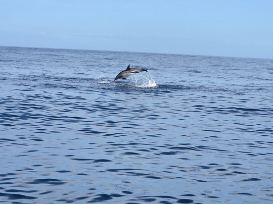 Cape Cruiser-萨格里什必去景点