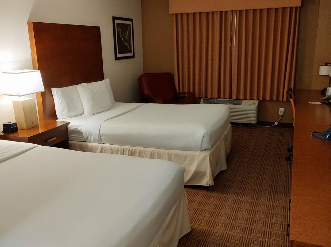 La Quinta Inn & Suites by Wyndham Danbury主图