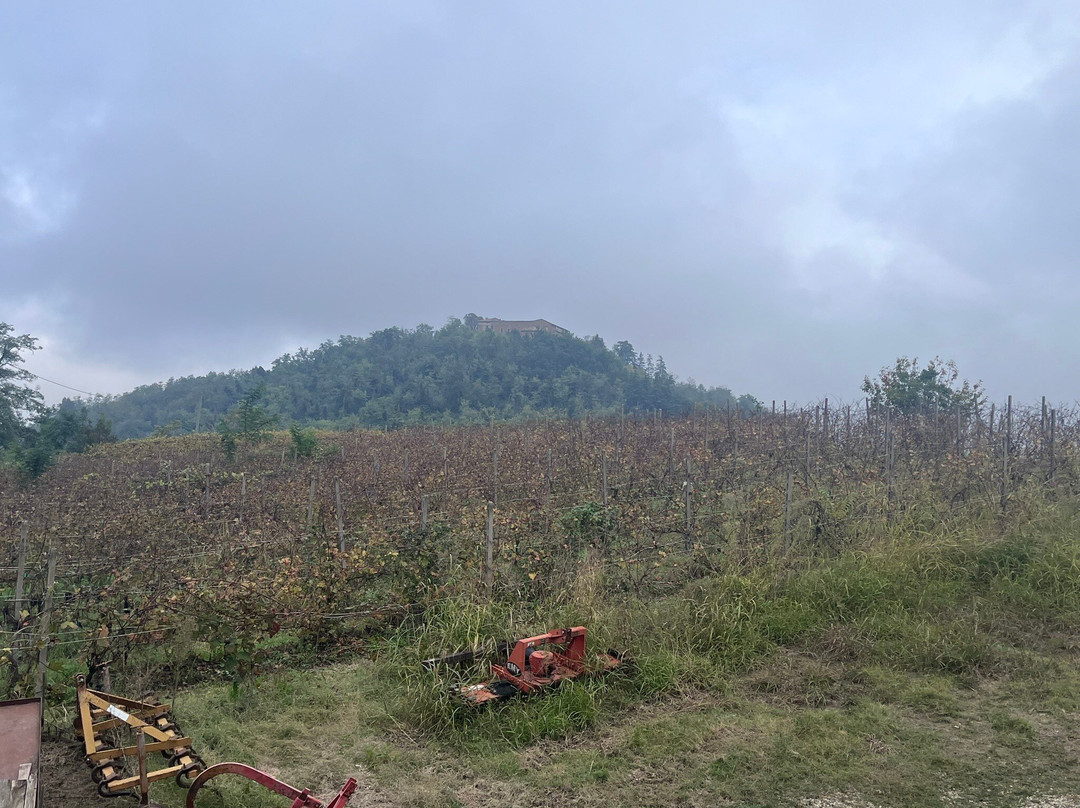 Dezza 1890 Winery景点图片