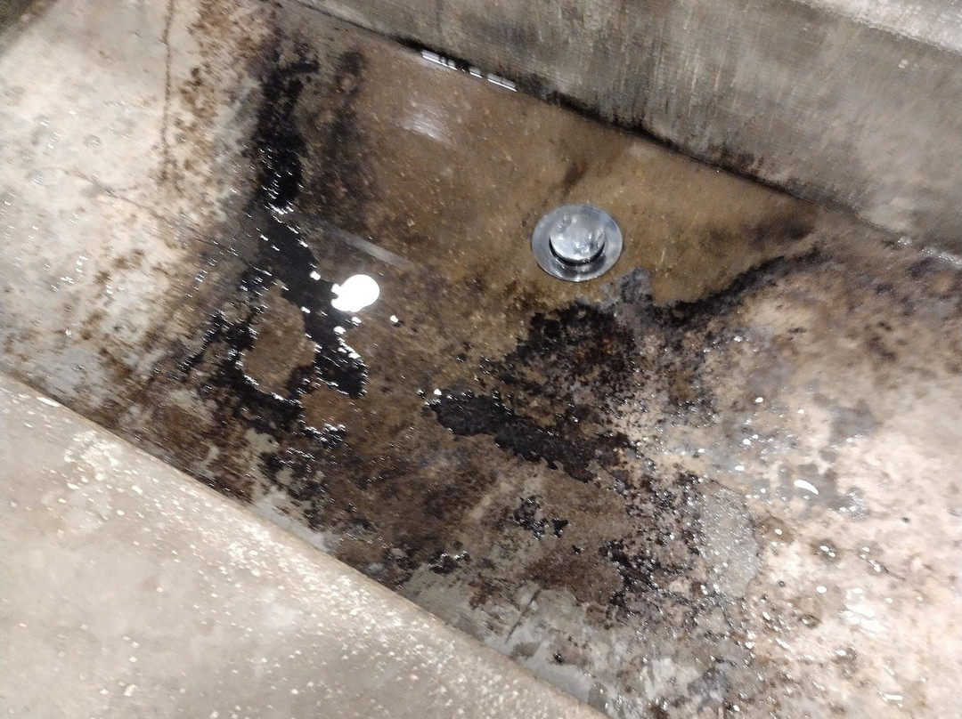 Slebech Park Estate主图