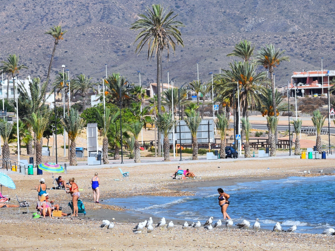 Playa del Alamillo-穆尔西亚马萨龙港必去景点