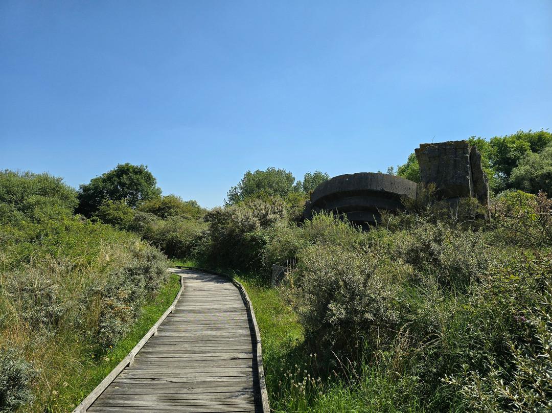 Reserve Naturelle Du Platier D'Oye景点图片