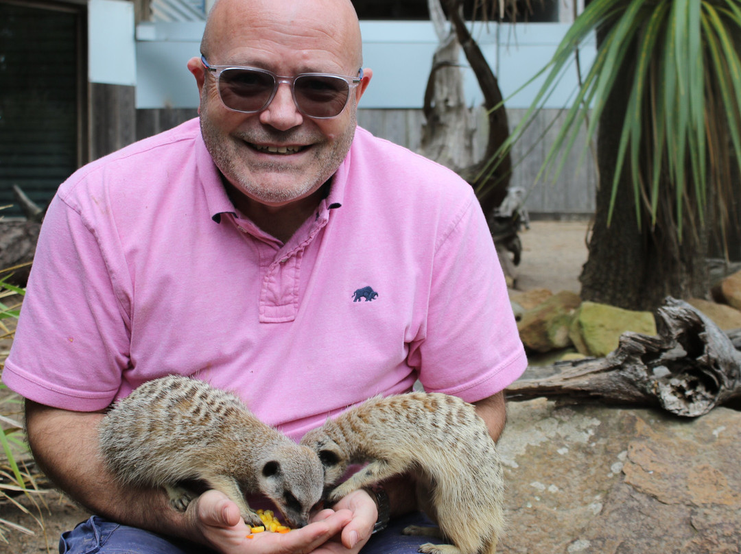 Symbio Wildlife Park-海伦斯堡必去景点