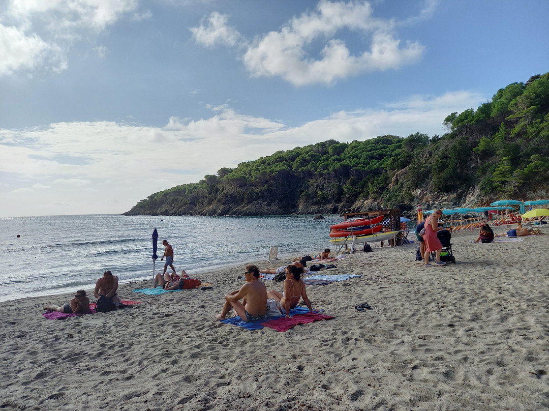 Spiaggia di Fetovaia景点图片