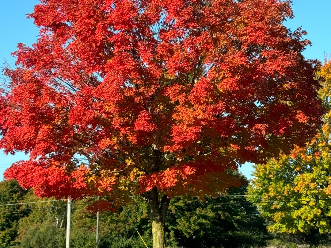 The Dunes Resort主图