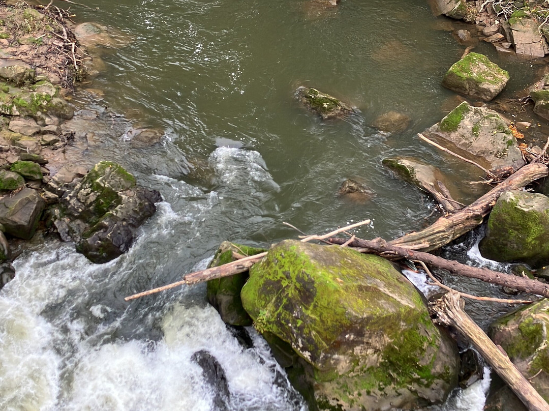 Hängebrücke Irreler Wasserfälle景点图片