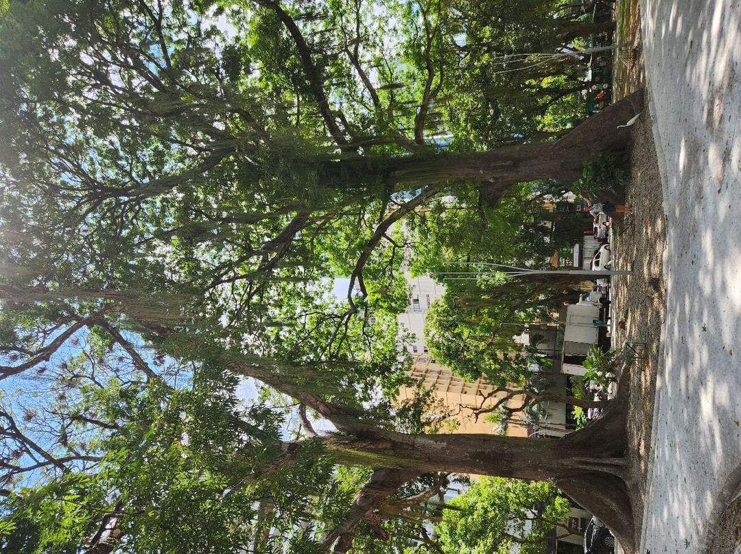 宜必思尚品贝伦巴蒂斯塔坎波斯酒店主图