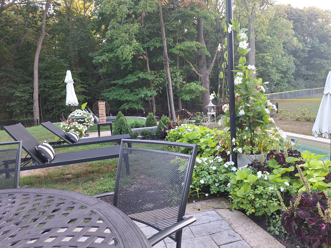 Getaway Inn At Cooper's Woods主图