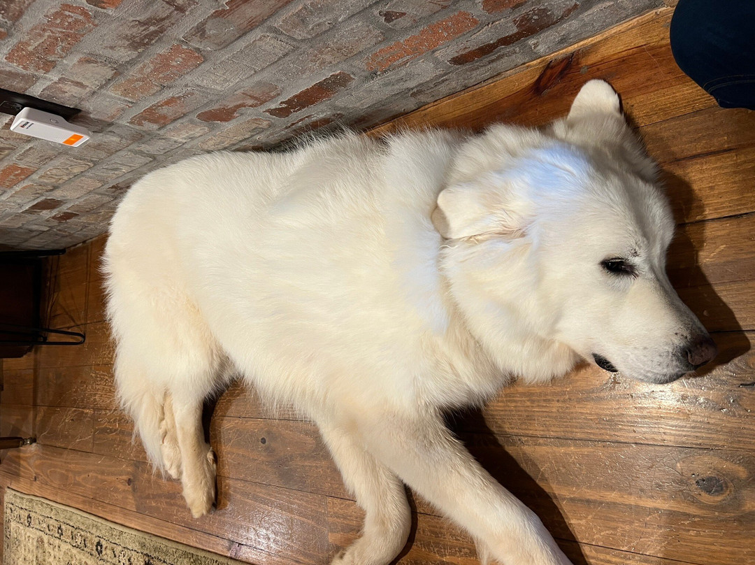 Cavender Creek Vineyards and Winery-达洛尼加必去景点