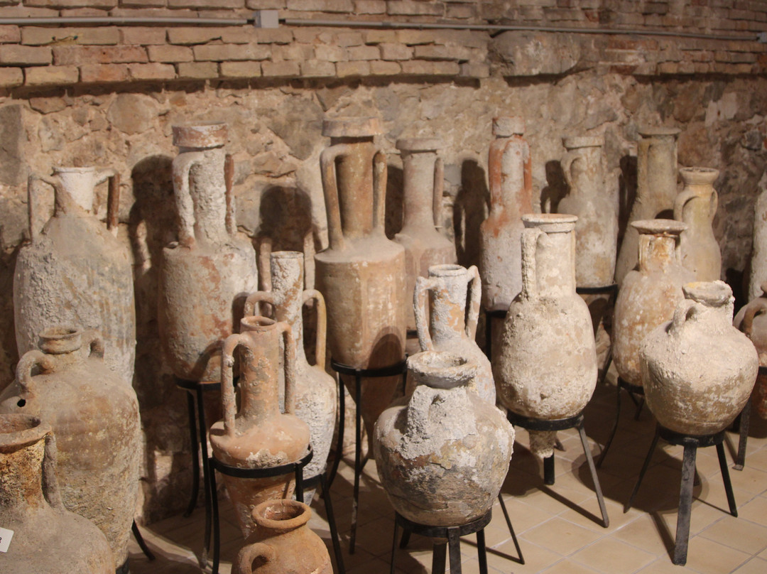 Musee d'Archeologie-安提贝必去景点