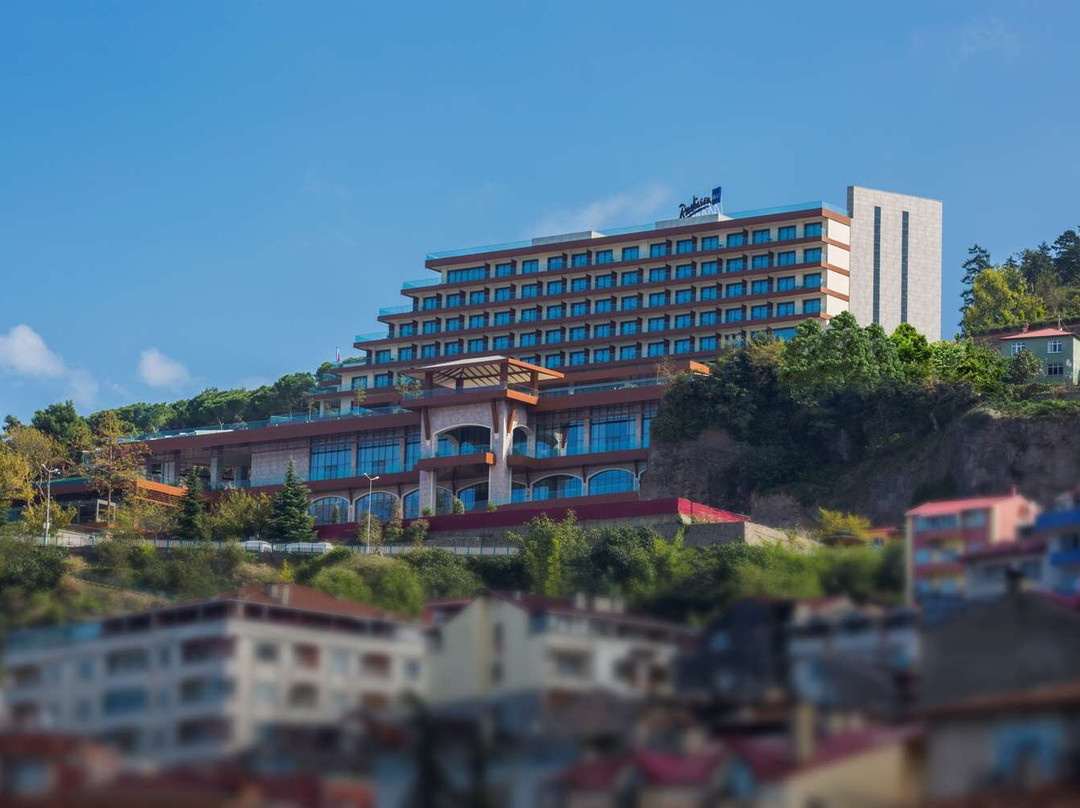 特拉布宗省酒店住宿-Radisson Blu Hotel, Trabzon