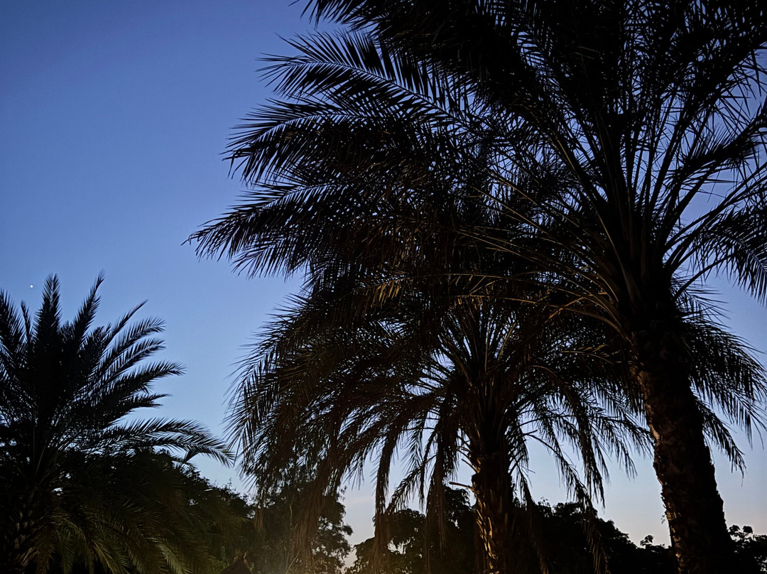 Africa Strike Lodge主图