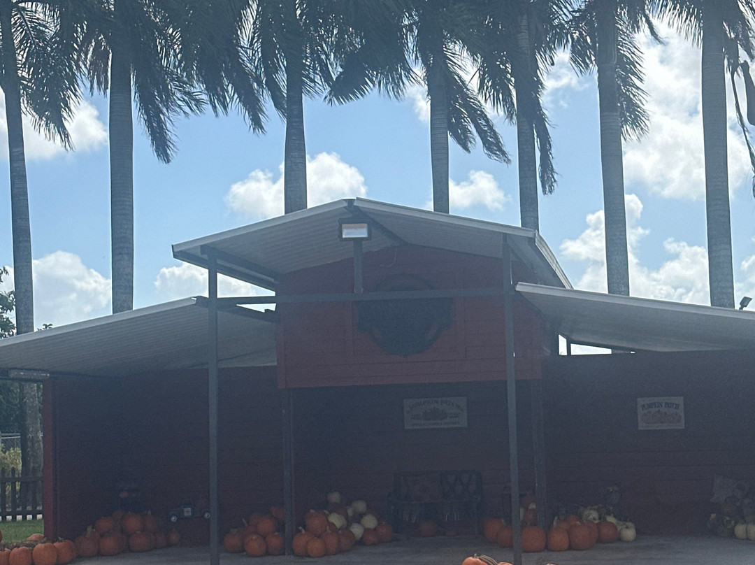 Pinto's Farm-迈阿密必去景点