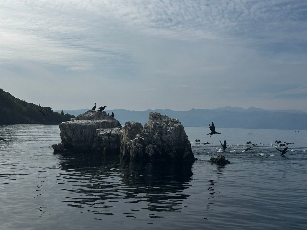 Azzurro Pontoon Boat Excursions
