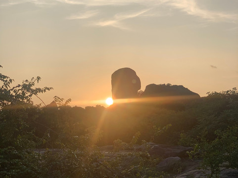 Yala One Safari-蒂瑟默哈拉默必去景点