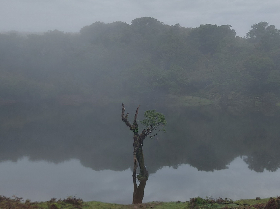 Green Devil Safari-沙尔必去景点