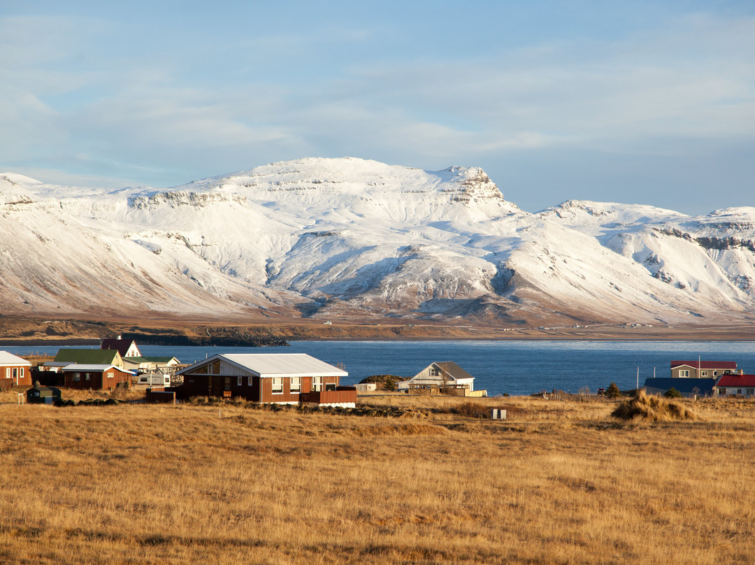 Arnarstapi Cliff-Arnarstapi必去景点
